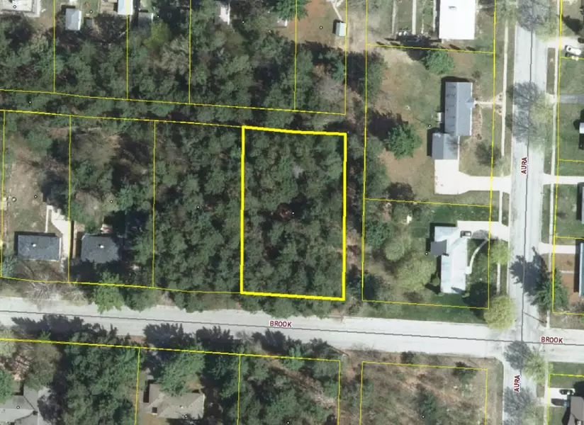 VL Brook Avenue, Kaleva, MI 49645
