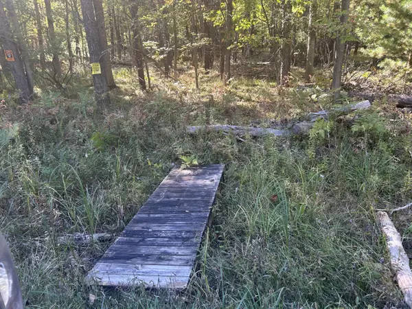 Stanwood, MI 49346,6195 110th Avenue