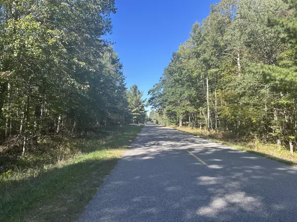 Stanwood, MI 49346,6195 110th Avenue