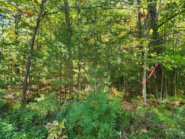 Chase, MI 49623,8681 E 8th Street