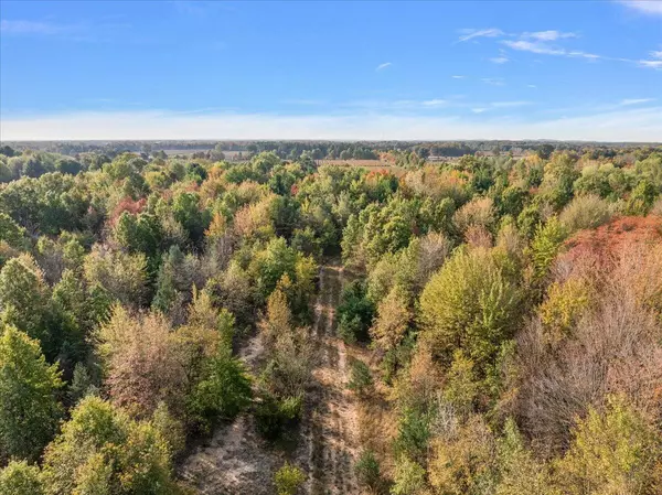 Holland, MI 49424,0 Butternut Dr (PARCEL A)