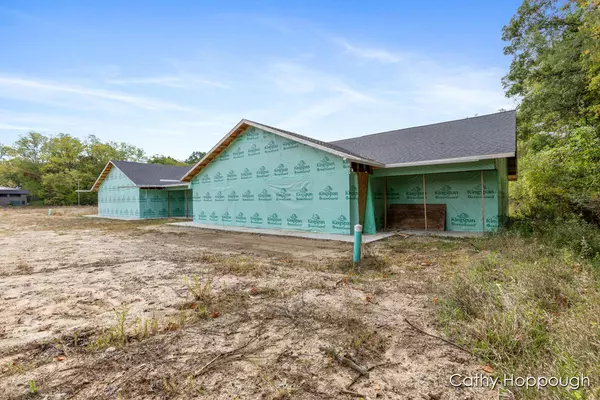 Ionia, MI 48846,533 E Washington Street #A,B,C,D