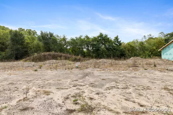 Ionia, MI 48846,533 E Washington Street #A,B,C,D