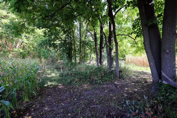 Hastings, MI 49058,VL Center Rd Lot ##WP001