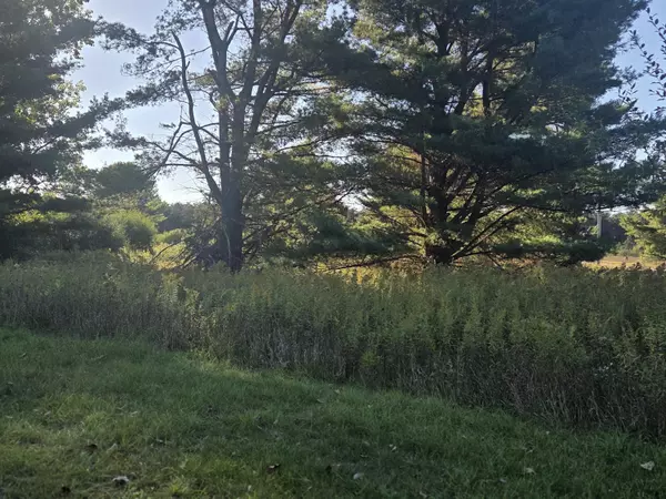 Canadian Lakes, MI 49346,11517 Pine Crest Drive