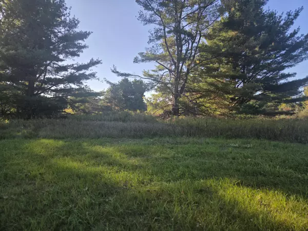 Canadian Lakes, MI 49346,11517 Pine Crest Drive