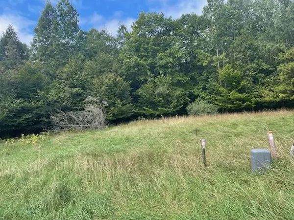 Onekama, MI 49675,Opal Ridge