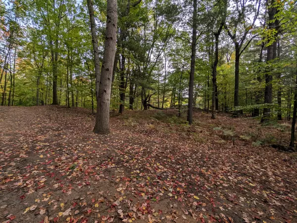 Custer, MI 49405,V/L E Kissing Oaks Trail #164