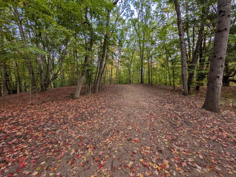 V/L E Kissing Oaks Trail #164, Custer, MI 49405