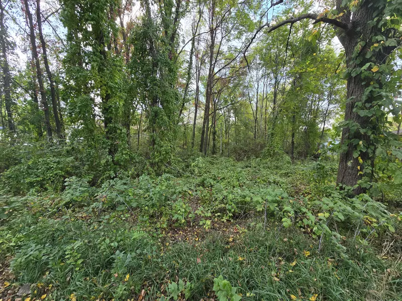W Guernsey Lake Road, Delton, MI 49046