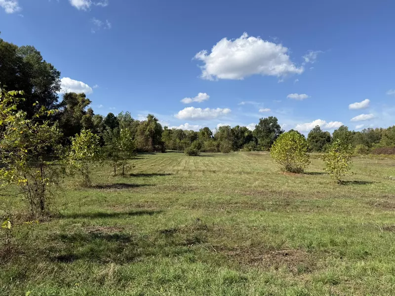 VL 4.59ac. CR 215, Bangor, MI 49013