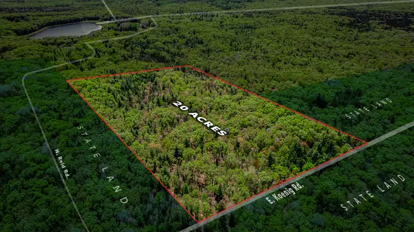 Free Soil, MI 49411,V/L E Koenig Road
