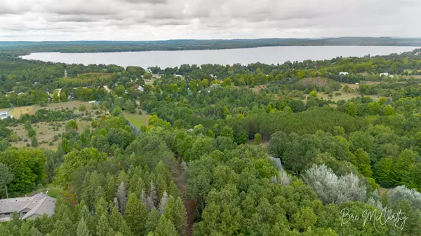 Bear Lake, MI 49614,V/L Spruce Ridge Road #13