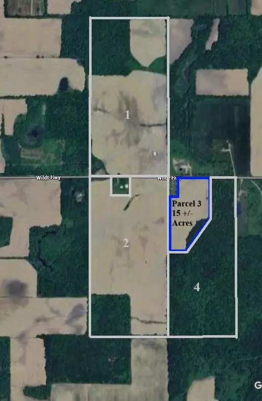 Bellevue, MI 49021,Wildt Highway