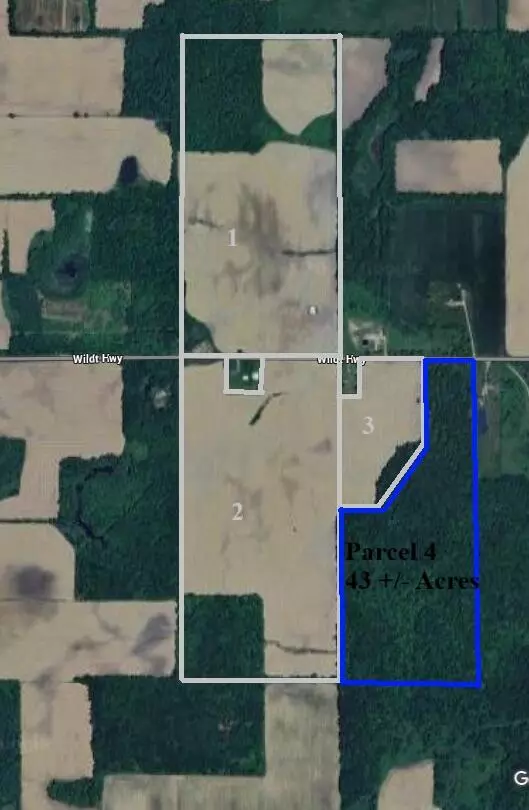 Bellevue, MI 49021,Wildt Highway