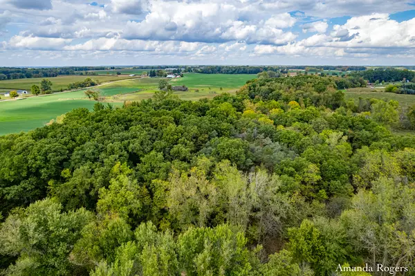 Saranac, MI 48881,0 Sayles Road