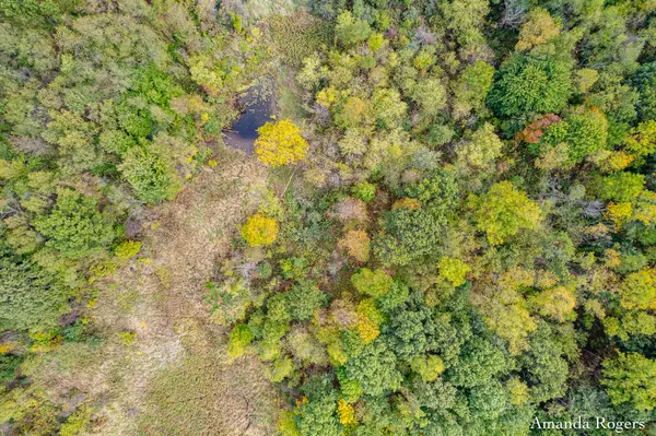 Saranac, MI 48881,0 Sayles Road