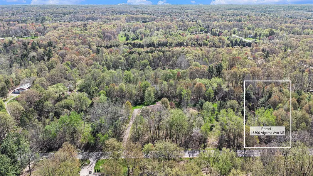 V/L Par 1 Algoma Avenue, Cedar Springs, MI 49319