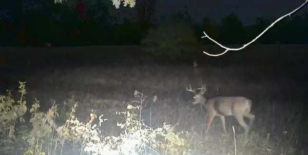 Barryton, MI 49305,VL 45th Avenue