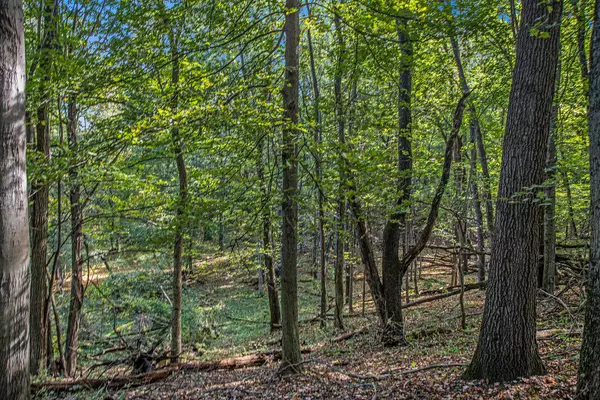 Richland, MI 49083,S Gull Lake Drive