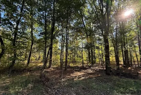 Plainwell, MI 49080,VL Doster Road, Lot#WP001