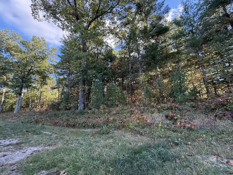 1220 Sydney Street #32, Whitehall, MI 49461