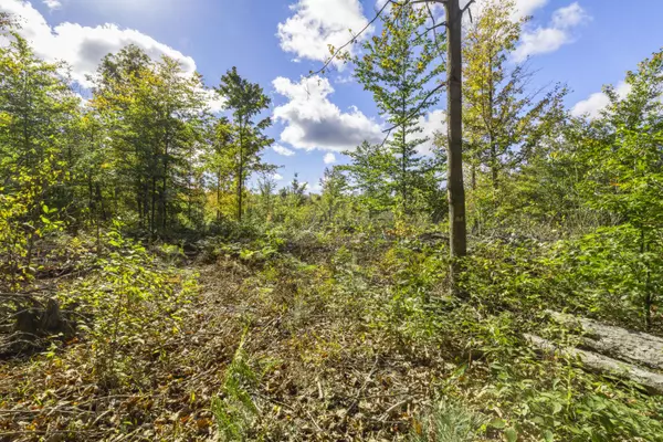 Beulah, MI 49617,Parcel A Homestead Road