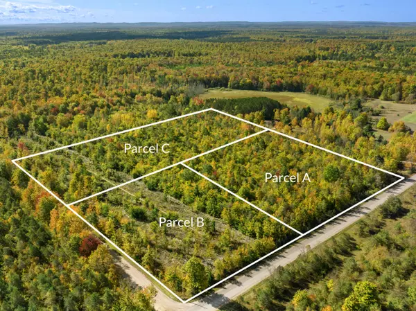 Beulah, MI 49617,Parcel B Homestead Road