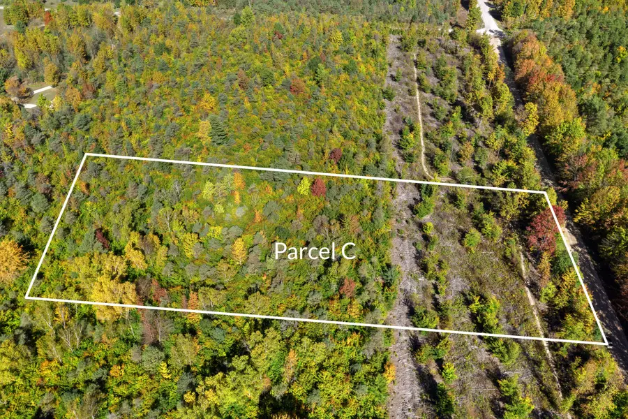 Parcel C S Weldon Road, Beulah, MI 49617