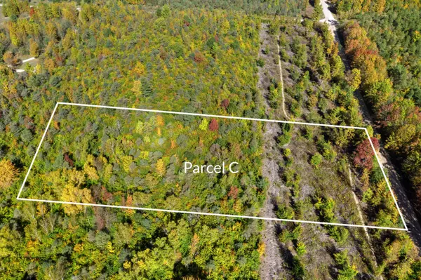 Parcel C S Weldon Road, Beulah, MI 49617