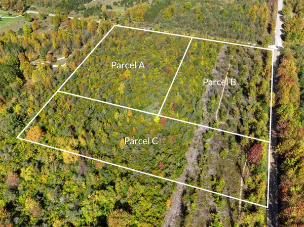 Beulah, MI 49617,Parcel C S Weldon Road