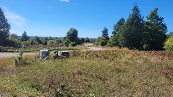 Onekama, MI 49675,9944 North Slope Drive #Unit 94