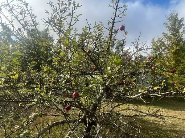 Kalkaska, MI 49646,7541 Grass Lake Road