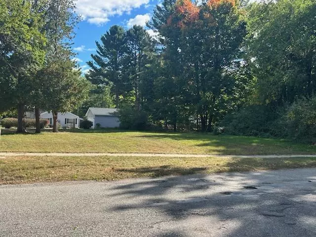205 S Franklin Street, Whitehall, MI 49461