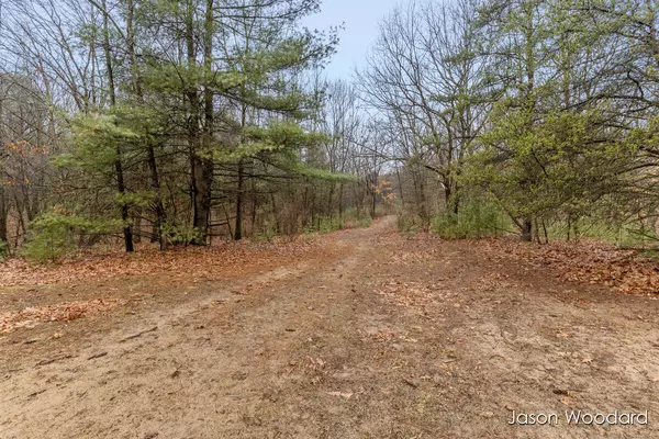 Gowen, MI 49326,16351 Black Lake Cove