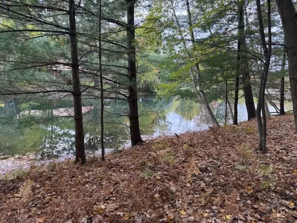 Canadian Lakes, MI 49346,9380 Taylors Turn