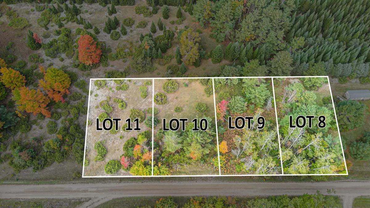 Cheboygan, MI 49721,V/L Trout Creek Road
