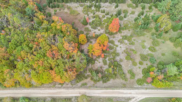 Cheboygan, MI 49721,V/L Trout Creek Road