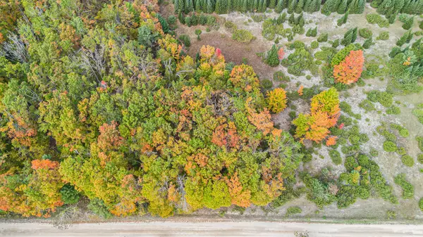 Cheboygan, MI 49721,V/L Trout Creek Road