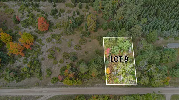 V/L Trout Creek Road, Cheboygan, MI 49721