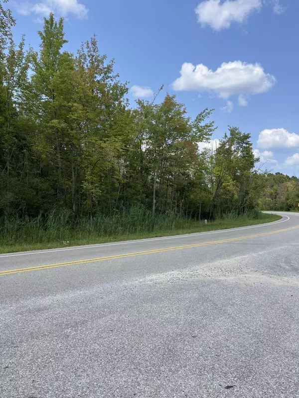 Pullman, MI 49450,4490 103rd Avenue