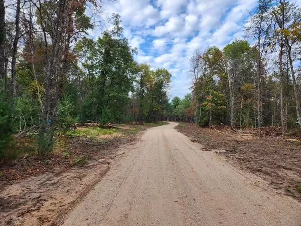 Baldwin, MI 49304,Parcel E Tatanka Trail