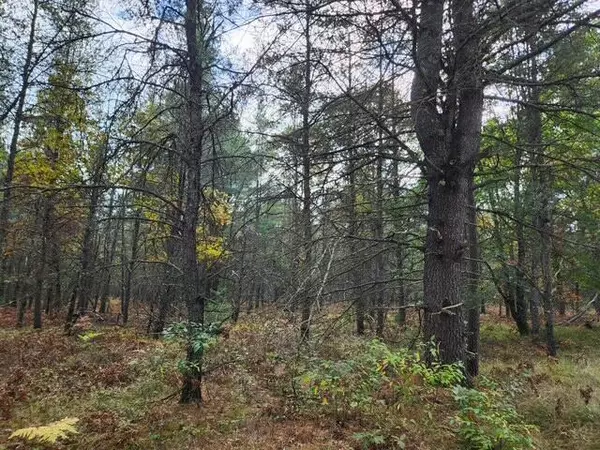 Baldwin, MI 49304,Parcel H Tatanka Trail