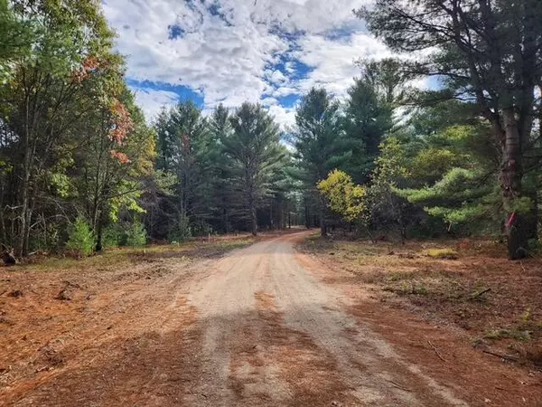 Baldwin, MI 49304,Parcel H Tatanka Trail