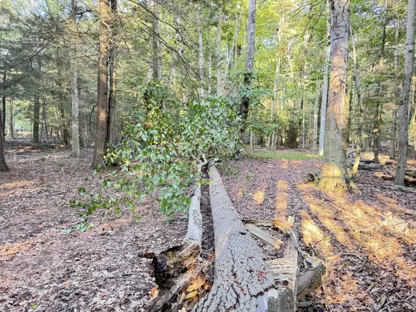 New Era, MI 49446,8367 W Stony Lake Road