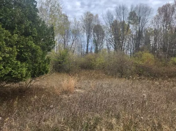 Shelby, MI 49455,V/L 132nd Avenue