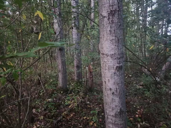 Shelby, MI 49455,V/L 132nd Avenue