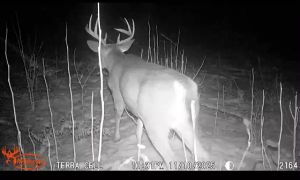 Manton, MI 49663,V/L E 22 3/4 Rd