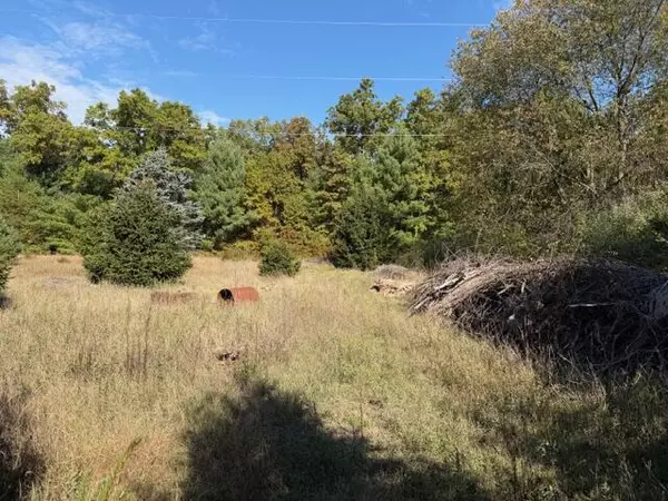 Newaygo, MI 49337,1561 E Croton Drive