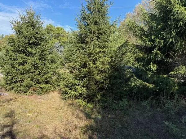 Newaygo, MI 49337,1561 E Croton Drive